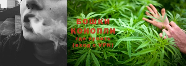 гидра Лихославль