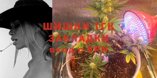 гидра Лихославль