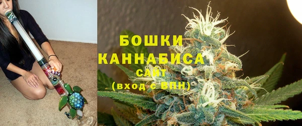 гидра Лихославль