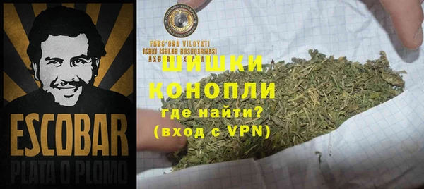 гидра Лихославль