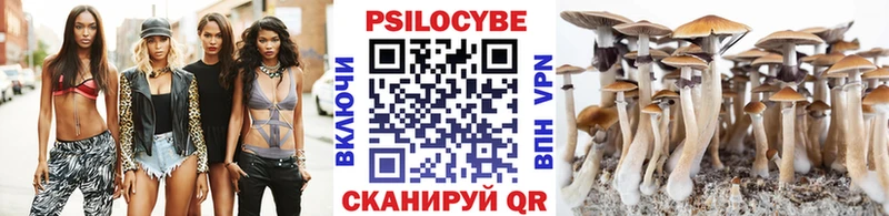 Галлюциногенные грибы Psilocybe  Липецк 